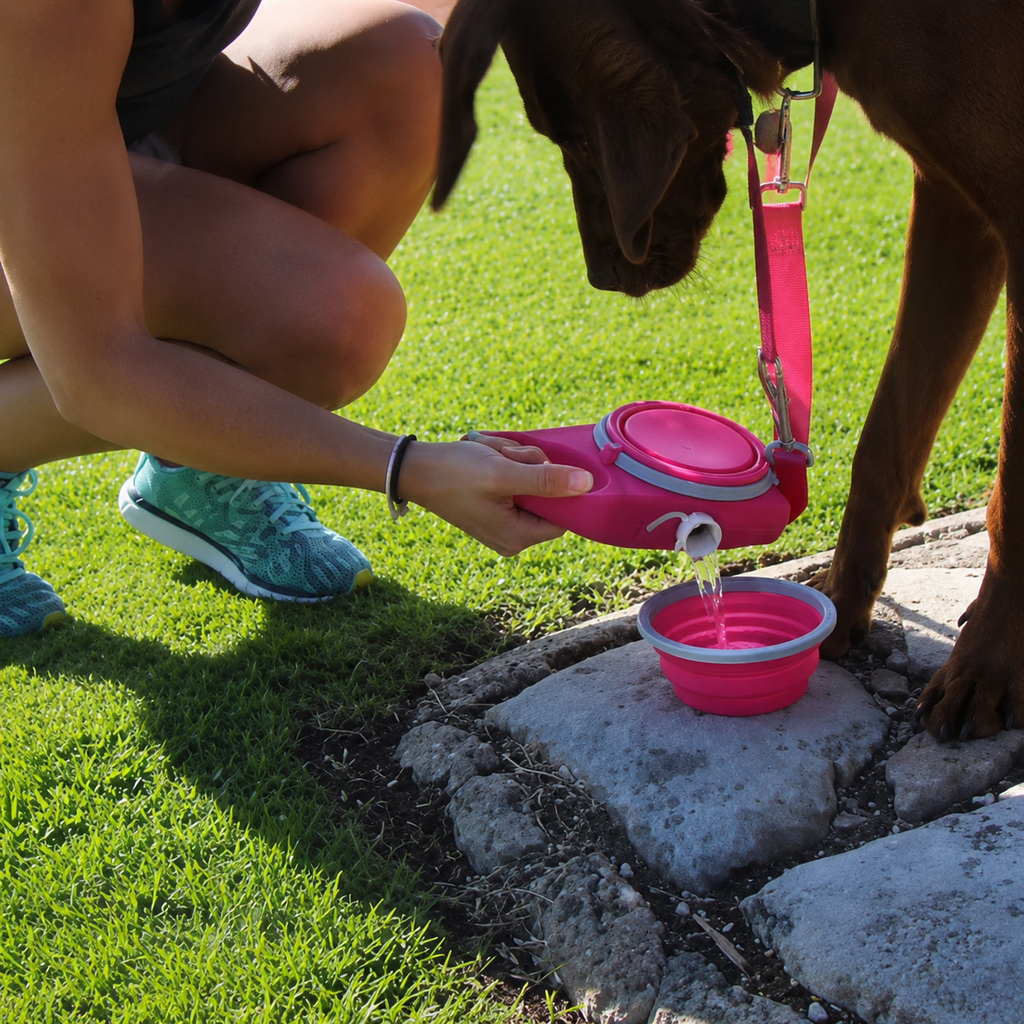 AquaWalk, cuenco plegable para perros
